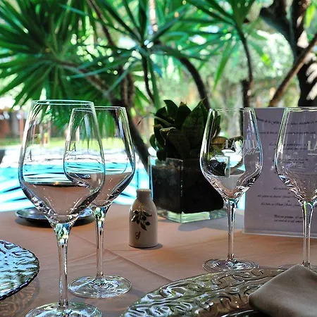 Hotel Duflot Hôtel&spa Perpignan