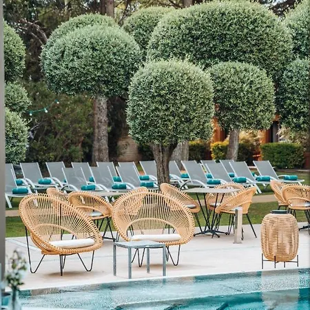 Duflot & 4* Perpignan
